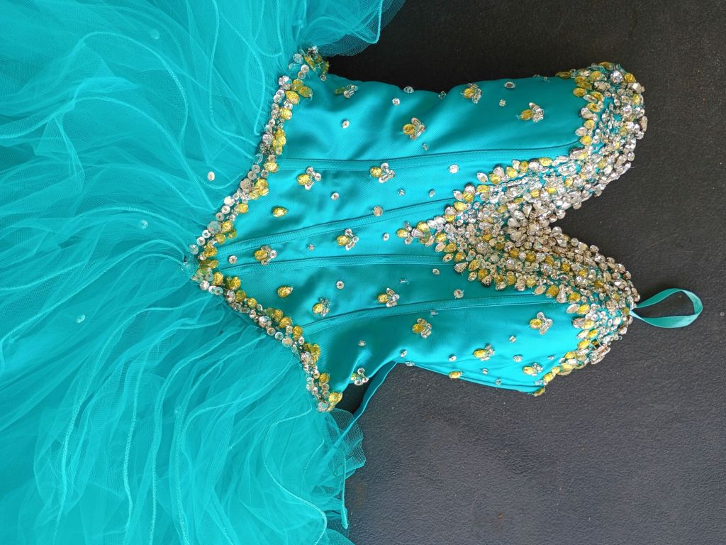 Quinceañera dress medium. Price is $245